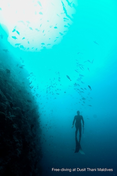 4_Free-diving at Dusit Thani Maldives