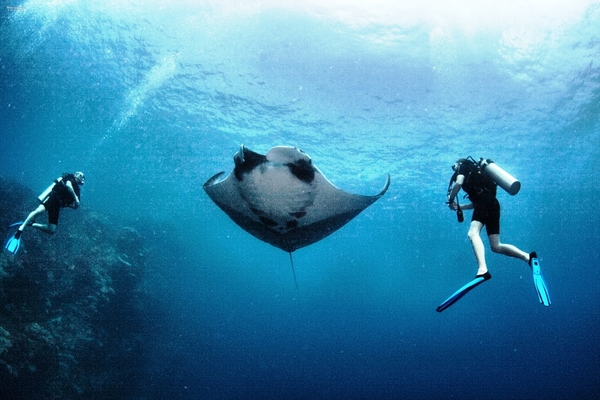 5_Diving at Sikao