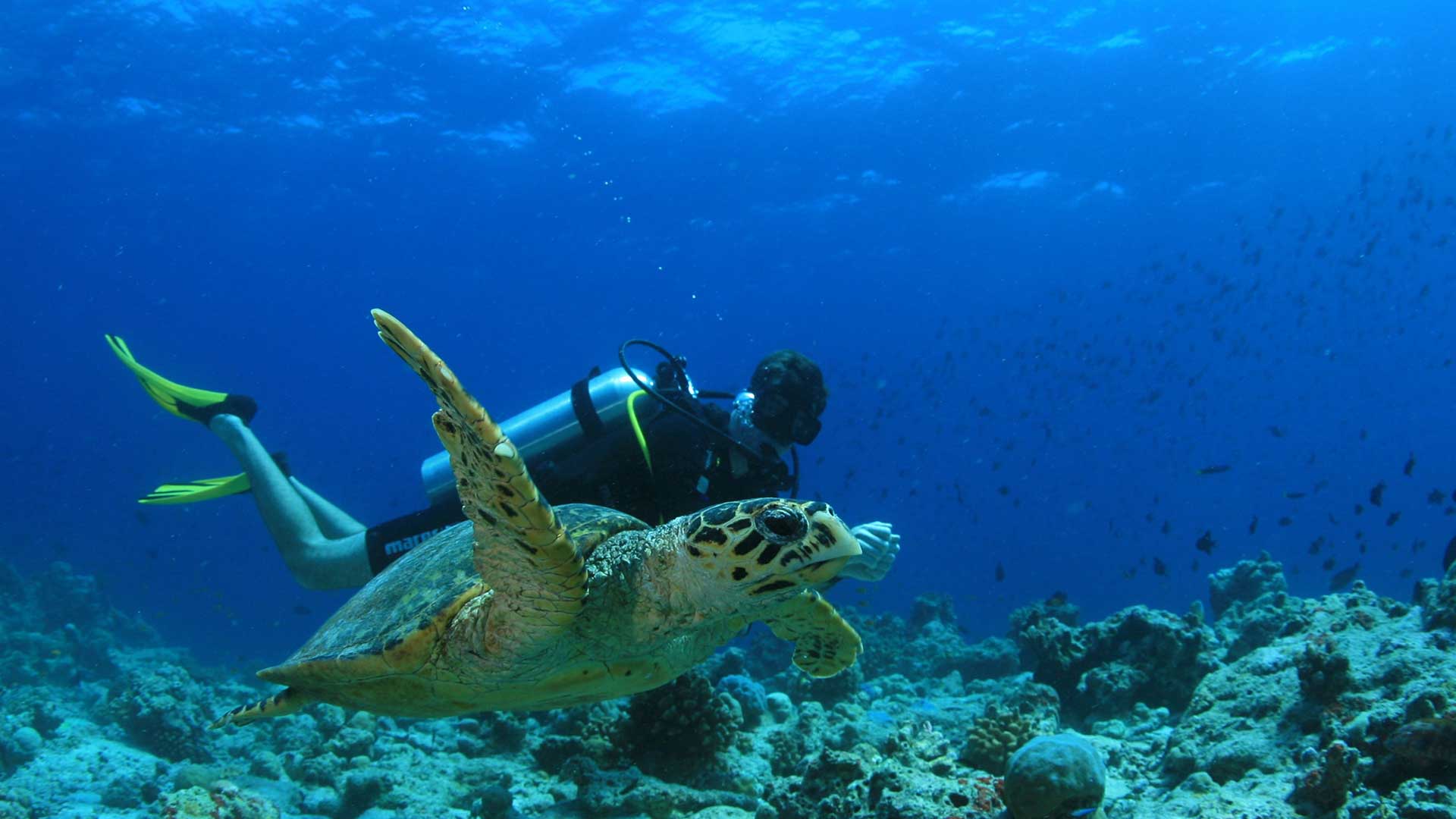 Maldives @PEAKLIFE