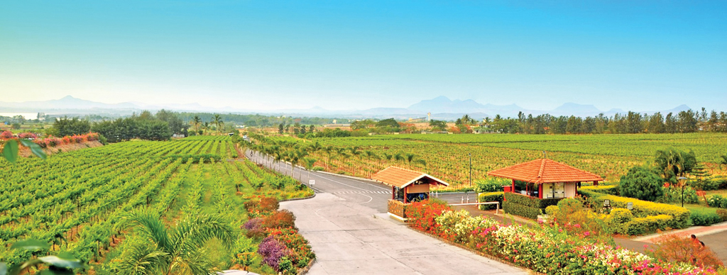 winery keeping a check on the water use is also important