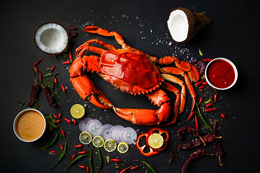 New Launches On Our Radar Food, Fashion, Haircare, and Mor-Image 7
