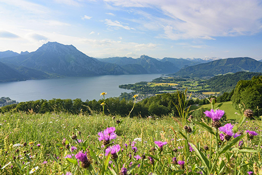No Place Like Austria-Image 1