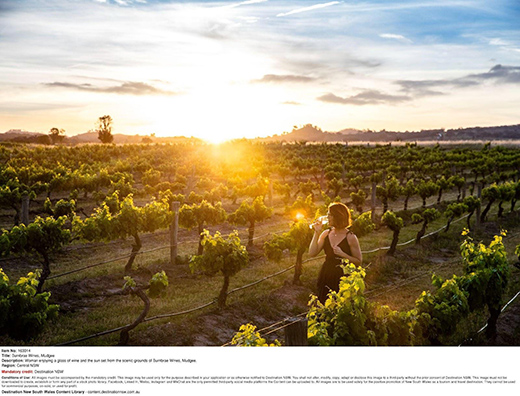 Diverse And Distinctive, New South Wales Has It All!-Image 3