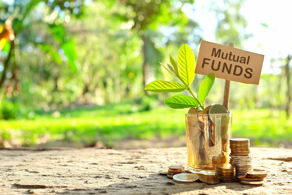 Hassle-Free Mutual Fund Choices to Make in 2024