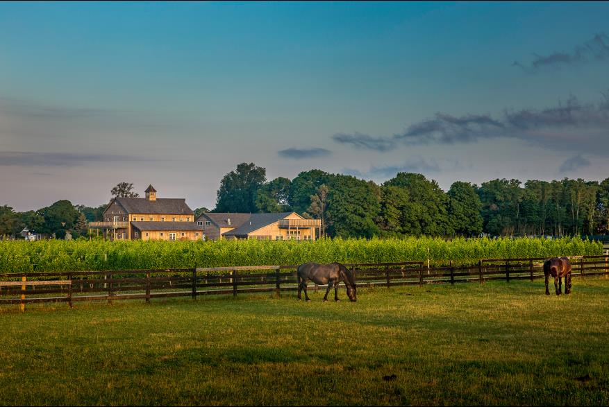 A Guide to Long Island, New York For The T20 World Cup-Image 2