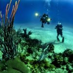 6 Best Dive Spot Must Explore