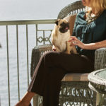 Travel packages for your canine companions