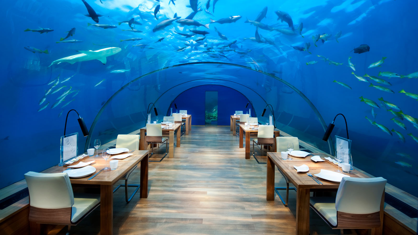 conrad-maldives-ithaa-undersea-restaurant