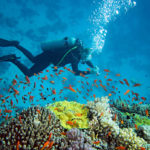 Escape into world’s best Scuba Diving Resorts