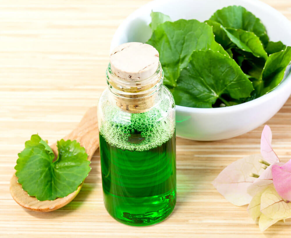Natural Spa Ingredients . - Centella asiatica Urban, Asiatic Pennywort for skin care.