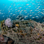 Clearing ‘Ghost Nets’ from Mergui Archipelago: An environmental campaign