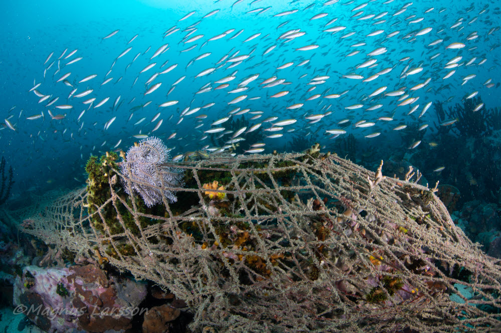 Clearing 'Ghost Nets' from Mergui Archipelago: An environmental