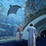 Oman Aquarium Tunnel Lead