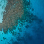 World Ocean Day: Know about Coral Reefs