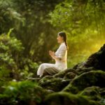 The Healing Power of Forest Bathing: Nurturing Well-Being Through Nature’s Embrace