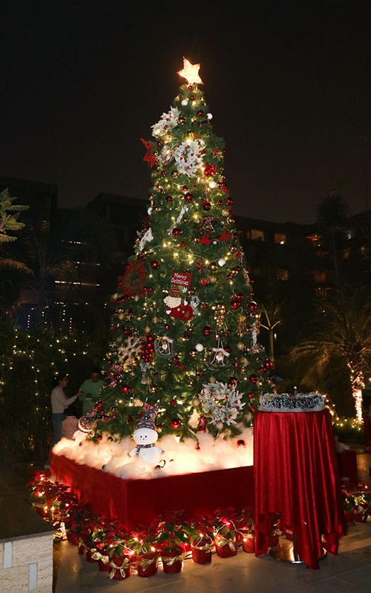Take Holiday Inspiration from These Stunning Christmas Tree Displays by India’s Best Hotels-Image 3