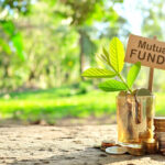 Hassle-Free Mutual Fund Choices to Make in 2024