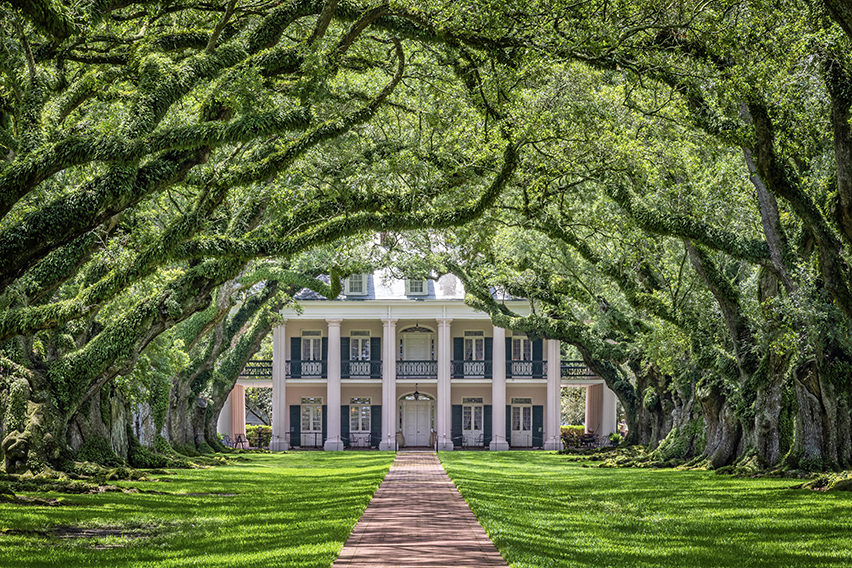 Laissez Les Bon Temps Rouler A Journey Through Louisiana's 13 Enchanting Regions-Cover Image