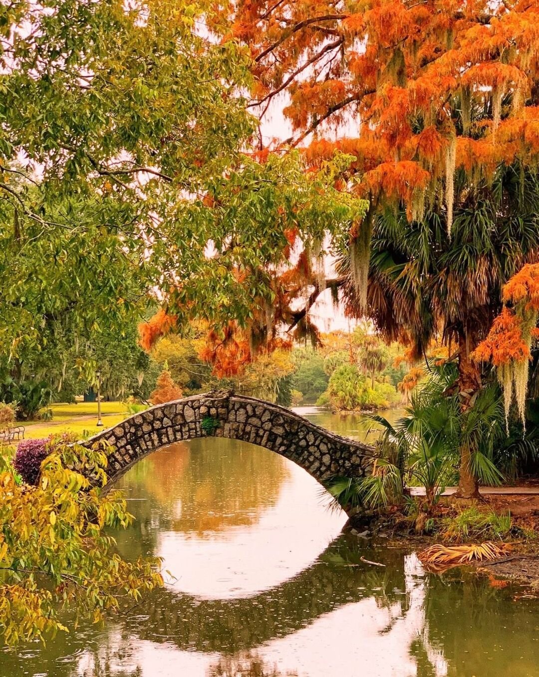 Only Louisiana will Feed your Soul with Endless Beauty-Cover Image