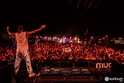 Your Guide to India's Top Music Events in 2024-Image 12