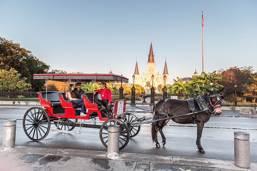 Rediscover Romance in New Orleans Year-Round-Cover Image